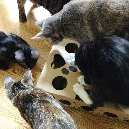 Cat Amazing, el mejor juguete interactivo para gatos Laberinto y caja para gatos, juego para gatos