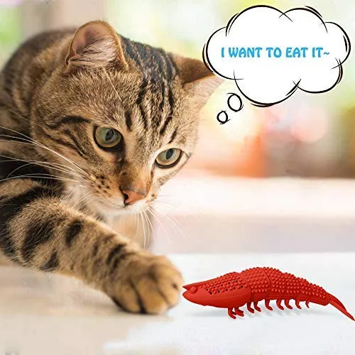 HETOO Cat Toys,Interactive Cat Toothbrush Catnip Chew Treat Toy for Kitten Kitty Cats Teeth Cleaning Dental Care,Crayfish Shape Pet Toy Cat