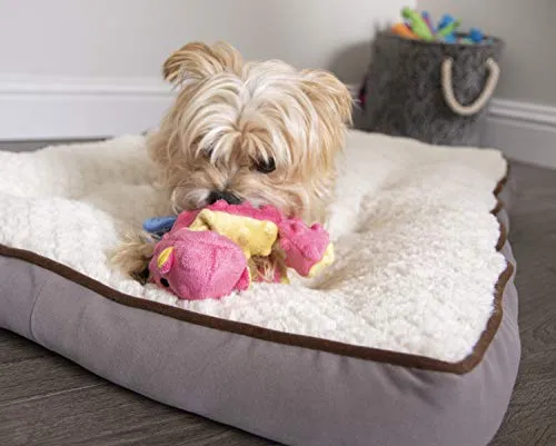 goDog Dragons with Chew Guard Technology Durable Durable Plush Squeaker Dog Toy