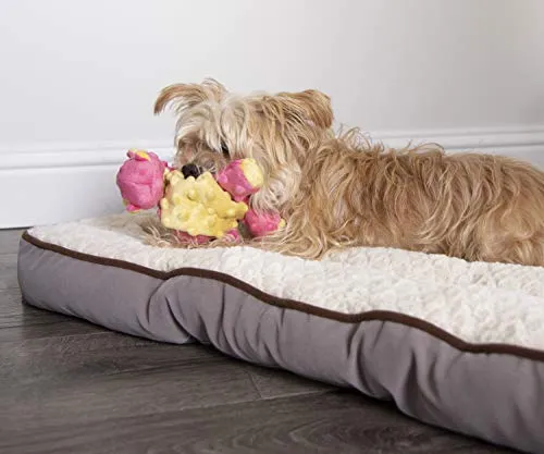 goDog Dragons with Chew Guard Technology Durable Durable Plush Squeaker Dog Toy