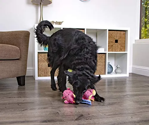 goDog Dragons with Chew Guard Technology Durable Durable Plush Squeaker Dog Toy