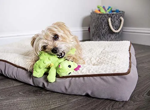 goDog Dragons with Chew Guard Technology Durable Durable Plush Squeaker Dog Toy