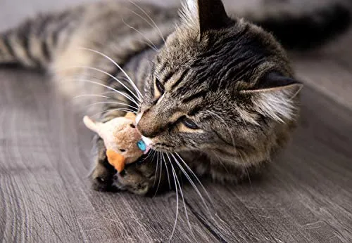 SmartyKat Juguetes electrónicos para gatos