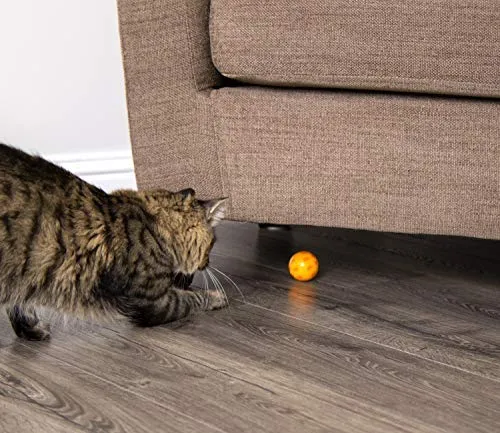 SmartyKat Juguetes electrónicos para gatos