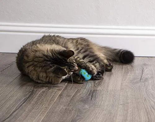 SmartyKat Juguetes electrónicos para gatos