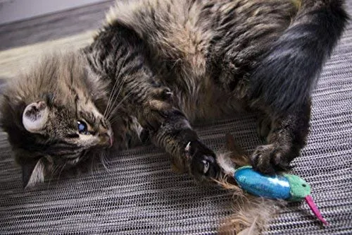 SmartyKat Juguetes electrónicos para gatos