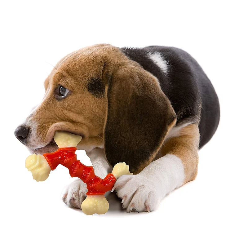 Nylabone Dura Hueso doble masticable, sabor tocino, Rojo