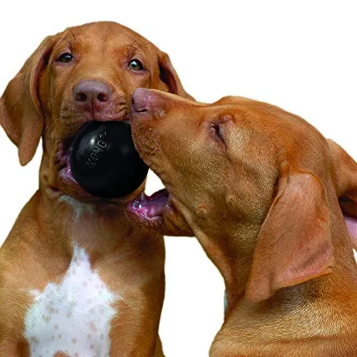 Kong Extreme Ball Juguete para perro