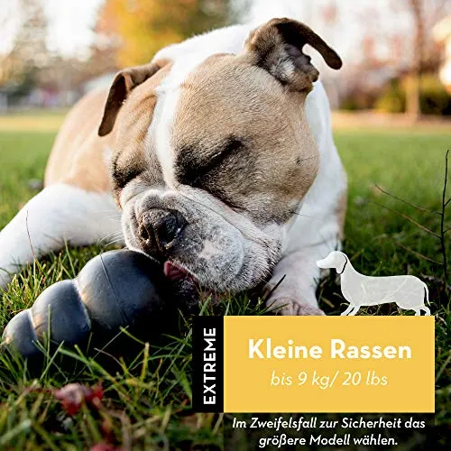 Kong Extreme Ball Juguete para perro