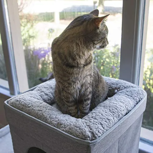 Kitty City - Cama grande para gatos, cubo apilable, casa de gatos para interiores y exteriores