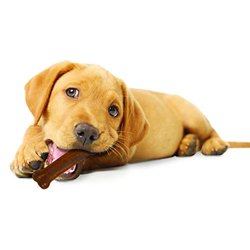 Nylabone Puppy Chew & Dura Chew Peanut Butter Bone Twin Pack Dog Toy