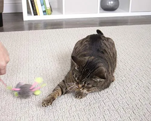 SmartyKat Juguetes interactivos y varita para gatos
