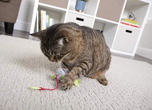 SmartyKat Juguetes interactivos y varita para gatos
