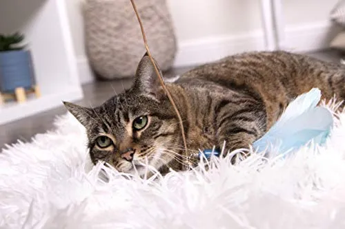 SmartyKat Juguetes interactivos y varita para gatos
