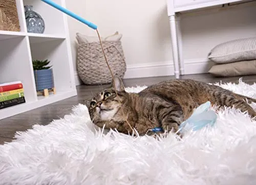 SmartyKat Juguetes interactivos y varita para gatos