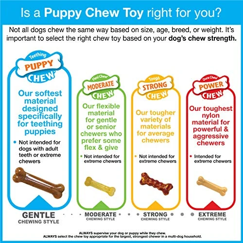 Nylabone Bacon Flavored Pacifier Puppy Chew Toy