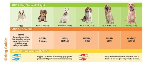 Nylabone Bacon Flavored Pacifier Puppy Chew Toy