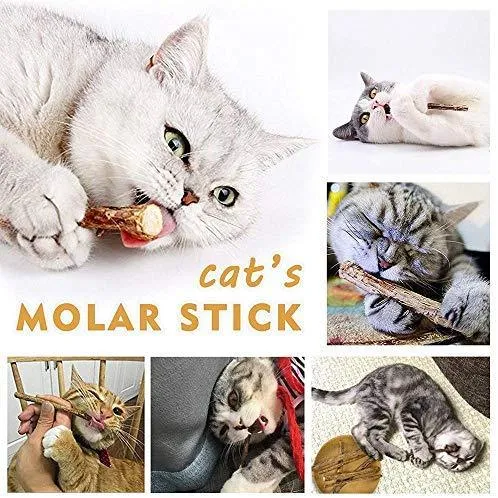 Ailuki - Juego de juguetes para gatos, 26 piezas, varios juguetes, incluye túnel de 2 vías, plumas de gato, pez de gato, ratón, pelotas de colores y campanas para gato, cachorro, gatito