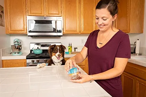 Juguete de bola con premio Pet Zone IQ para perros