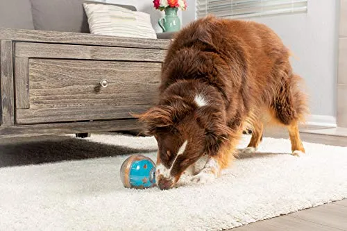 Juguete de bola con premio Pet Zone IQ para perros