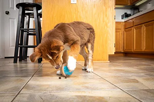 Juguete de bola con premio Pet Zone IQ para perros
