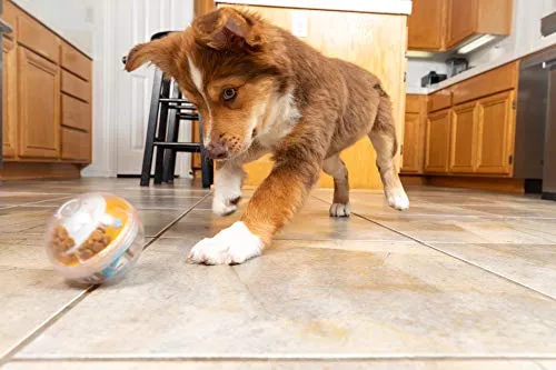 Juguete de bola con premio Pet Zone IQ para perros