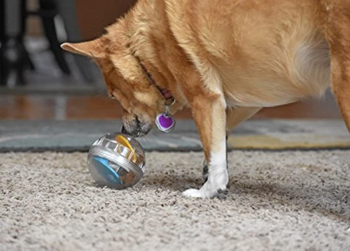 Juguete de bola con premio Pet Zone IQ para perros
