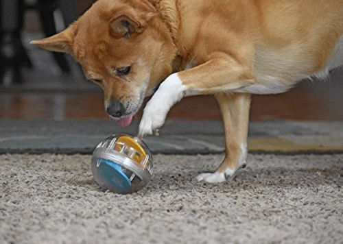 Juguete de bola con premio Pet Zone IQ para perros