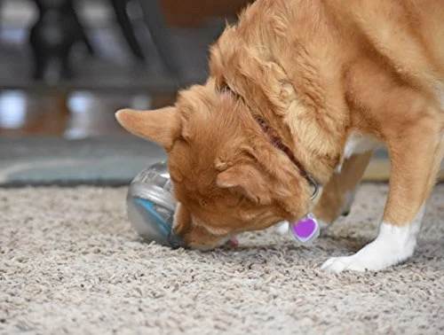 Juguete de bola con premio Pet Zone IQ para perros