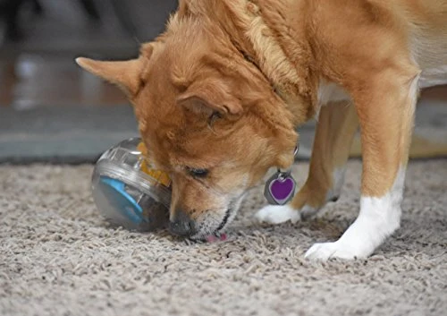 Juguete de bola con premio Pet Zone IQ para perros