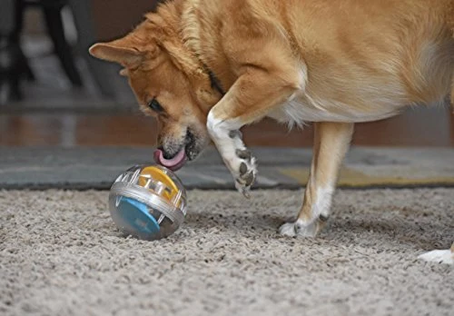 Juguete de bola con premio Pet Zone IQ para perros