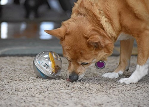 Juguete de bola con premio Pet Zone IQ para perros