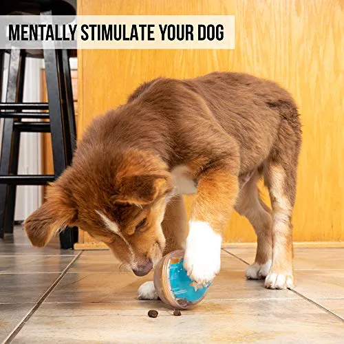 Juguete de bola con premio Pet Zone IQ para perros