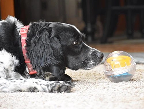 Juguete de bola con premio Pet Zone IQ para perros