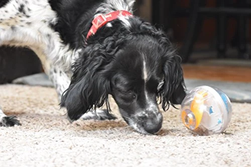 Juguete de bola con premio Pet Zone IQ para perros