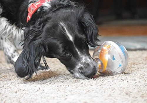 Juguete de bola con premio Pet Zone IQ para perros