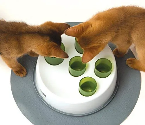 Catit Senses 2.0 Digger para gatos, Paquete de 1, Verde
