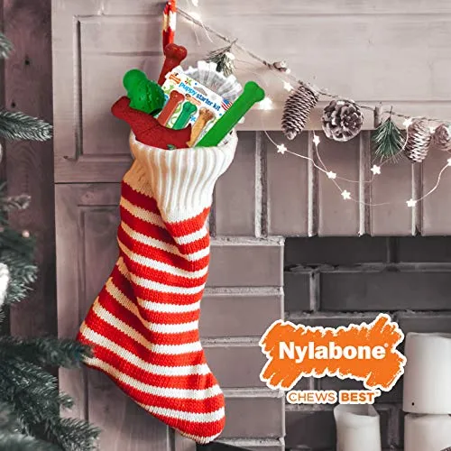 Nylabone Dura Chew - Juguete para masticar con sabor a dinosaurio dental