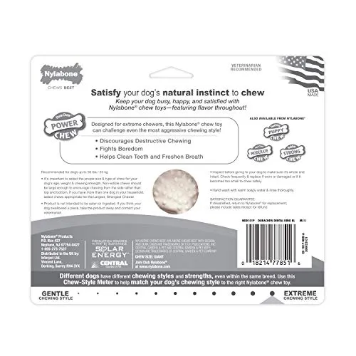 Nylabone Dura Chew - Juguete para masticar con sabor a dinosaurio dental