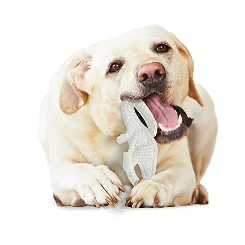 Nylabone Dura Chew - Juguete para masticar con sabor a dinosaurio dental