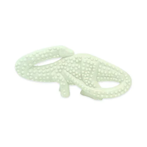 Nylabone Dura Chew - Juguete para masticar con sabor a dinosaurio dental
