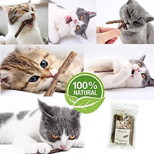 WoLover - Palos de Silvervine naturales para gatos, palitos de gato, palillos de masticar Matatabi, palillos de dientes molares para masticar gatitos
