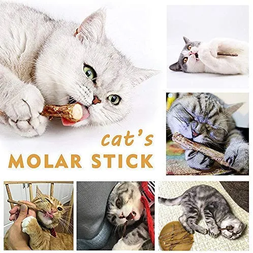 WoLover - Palos de Silvervine naturales para gatos, palitos de gato, palillos de masticar Matatabi, palillos de dientes molares para masticar gatitos