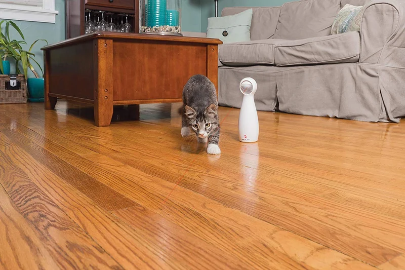 Láser, juguete interactivo para gato de la marca PetSafe