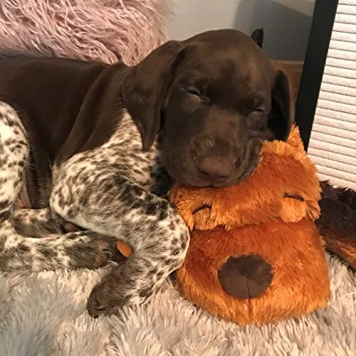 SmartPetLove Snuggle Puppy Behavioral Aid Toy
