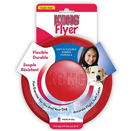 KONG - Flyer
