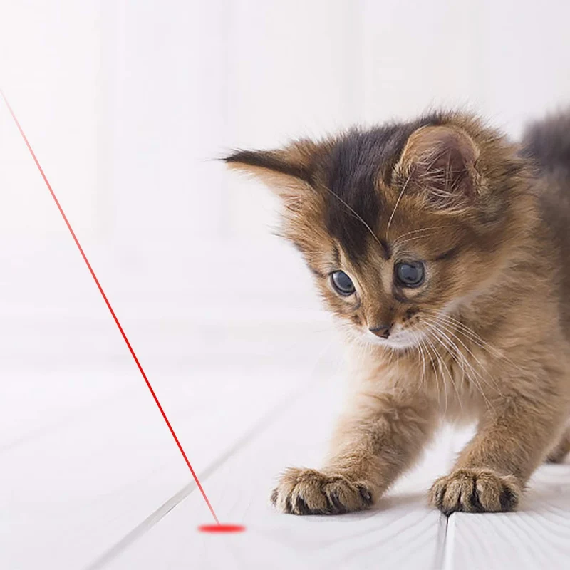 ¡Vamos! En la herramienta de entrenamiento de mascotas recargable, 3 modos, 7 en 1, juguete ligero para gatos + una pequeña etiqueta para mascotas