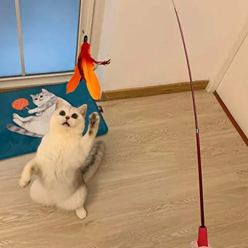 Juguete de plumas de gato, varita de juguete retráctil para gato, 2 varitas y 9 recambios surtidos, varita interactiva de plumas, juguete para gatito, gatito, gatito, tener divertido ejercitador jugando, Básico