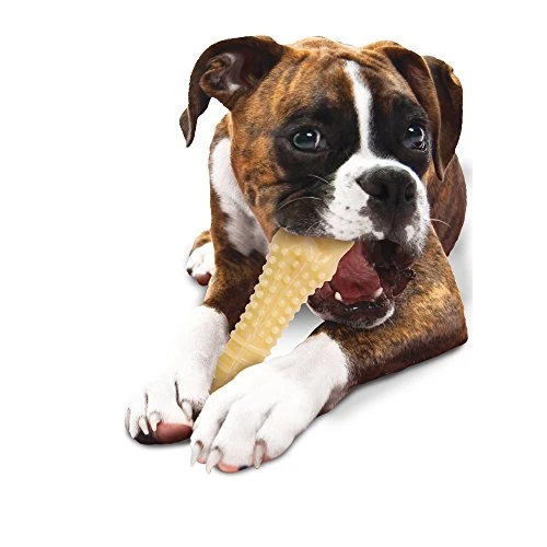 Nylabone Dura Chew Textured Dog Chew, X-Large