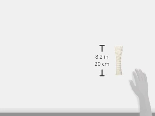 Nylabone Dura Chew Textured Dog Chew, X-Large